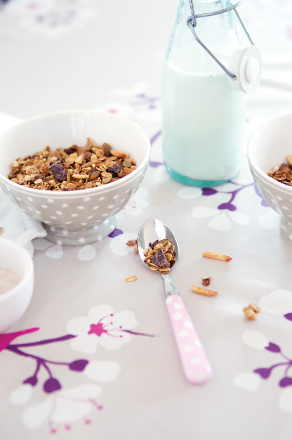 gluten free chocolate granola