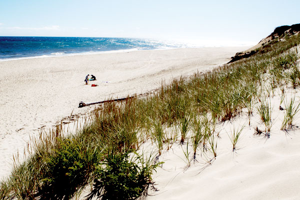 What is so special about a Cape Cod summer?