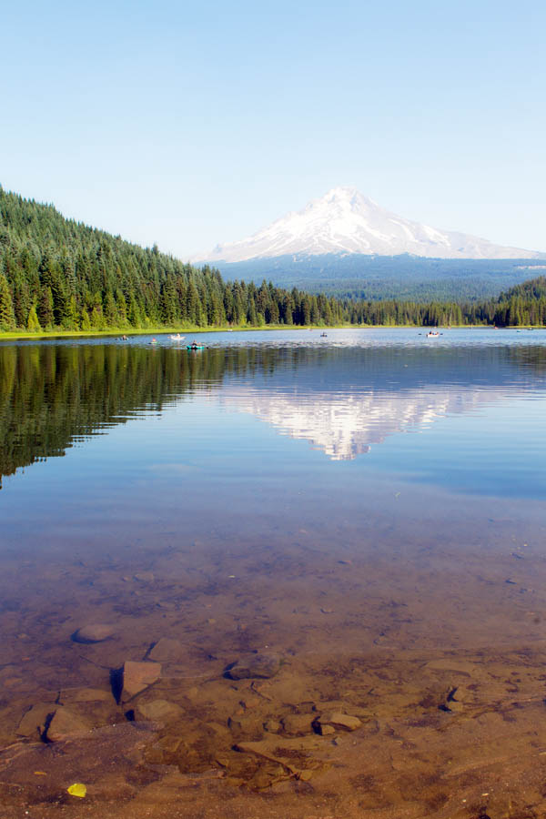 foraging edible plants john kallas oregon