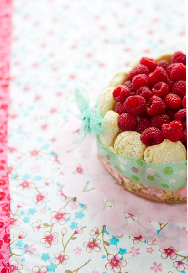 gluten free raspberry charlotte French dessert