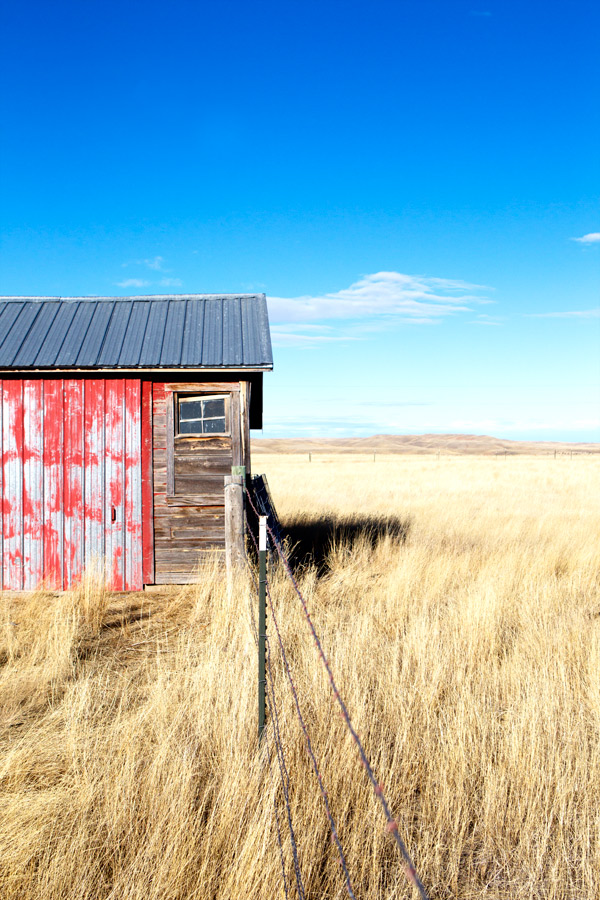 Wild Buffalo Ranch Dan O Brien South Dakota