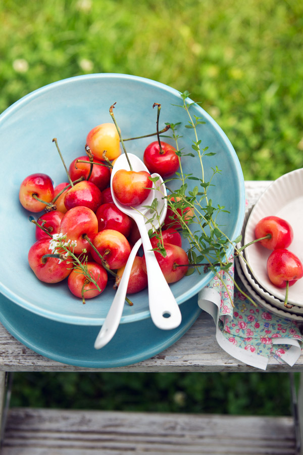 rainier cherry