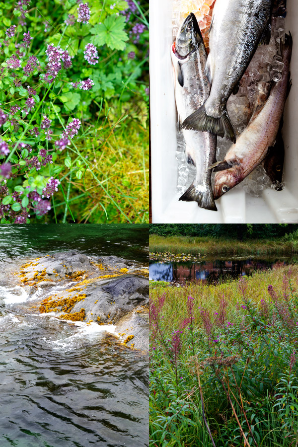 Alaska fishing sustainable tartine gourmande