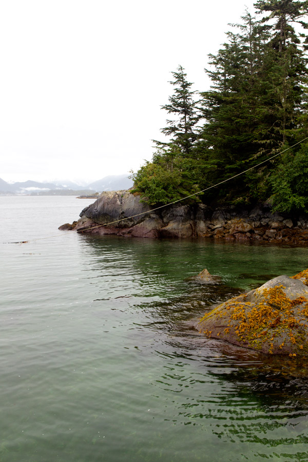 talon lodge alaska