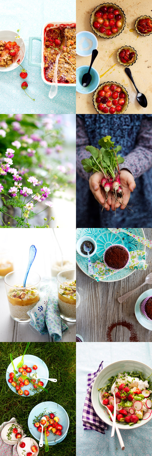 food styling photography workshop ireland ace camps